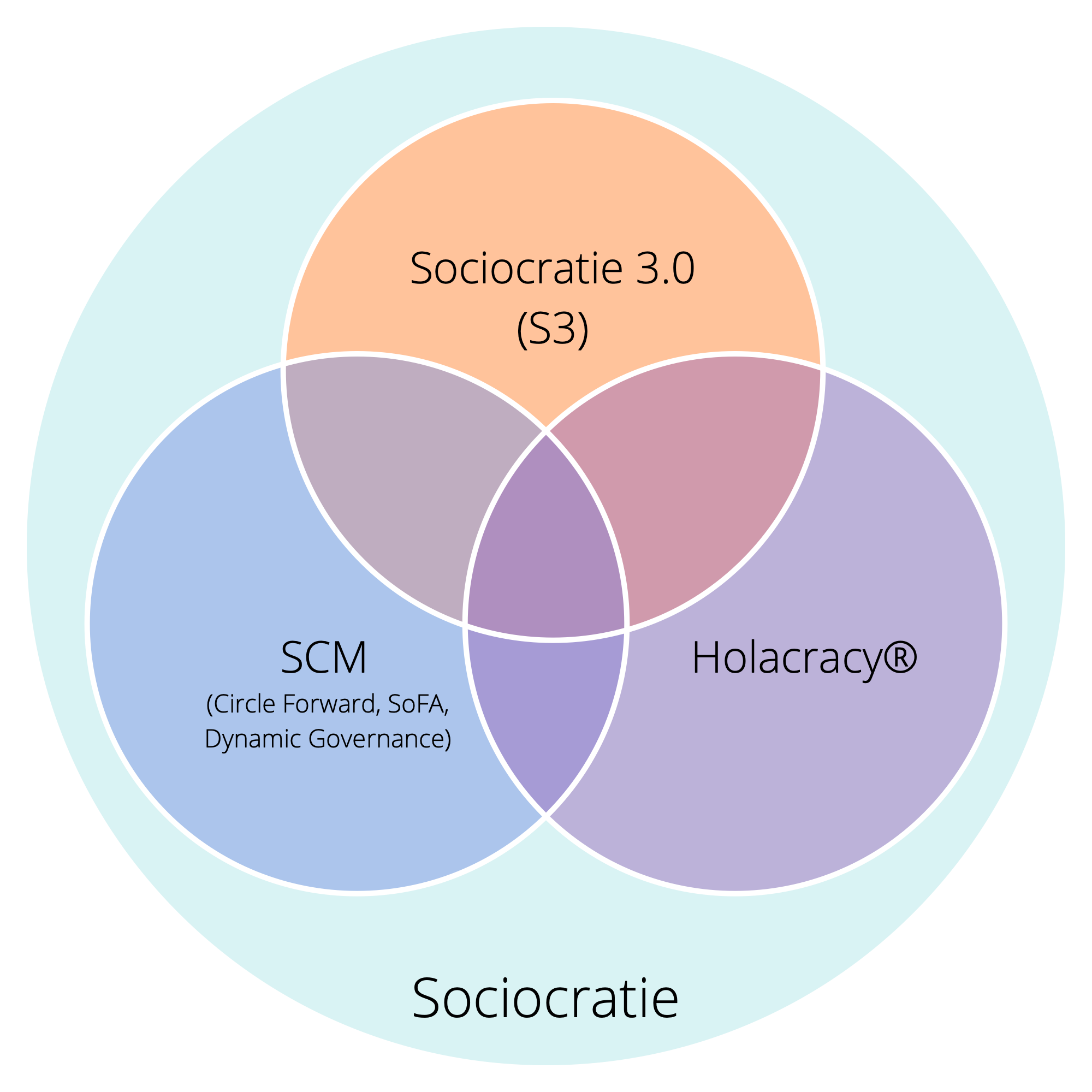 Trois variantes de sociocratie